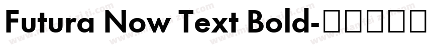 Futura Now Text Bold字体转换